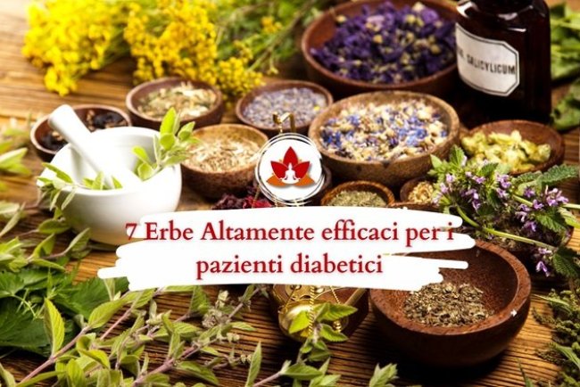 7 Erbe Altamente efficaci per i pazienti diabetici: rimedi naturali per una salute migliore